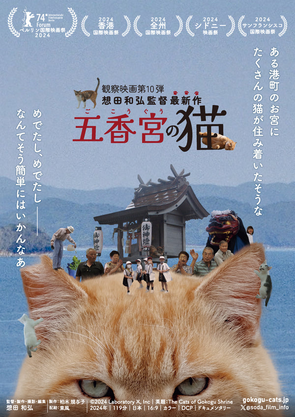 五香宮の猫