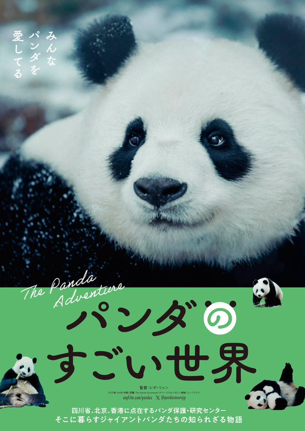 パンダのすごい世界のサムネイル