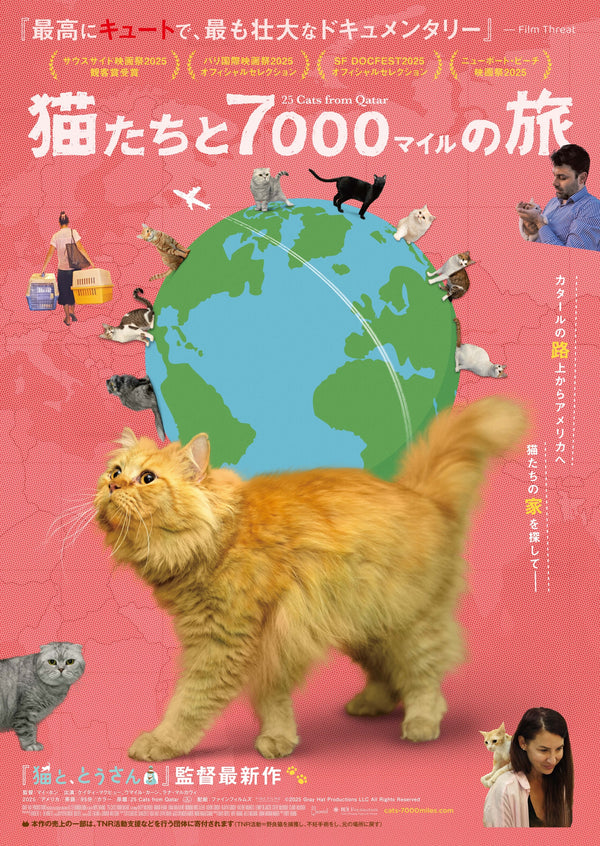 猫たちと7000マイルの旅のサムネイル