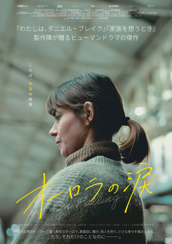 オーロラの涙のサムネイル