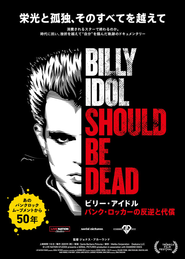 ビリー・アイドル パンク・ロッカーの反逆と代償のサムネイル