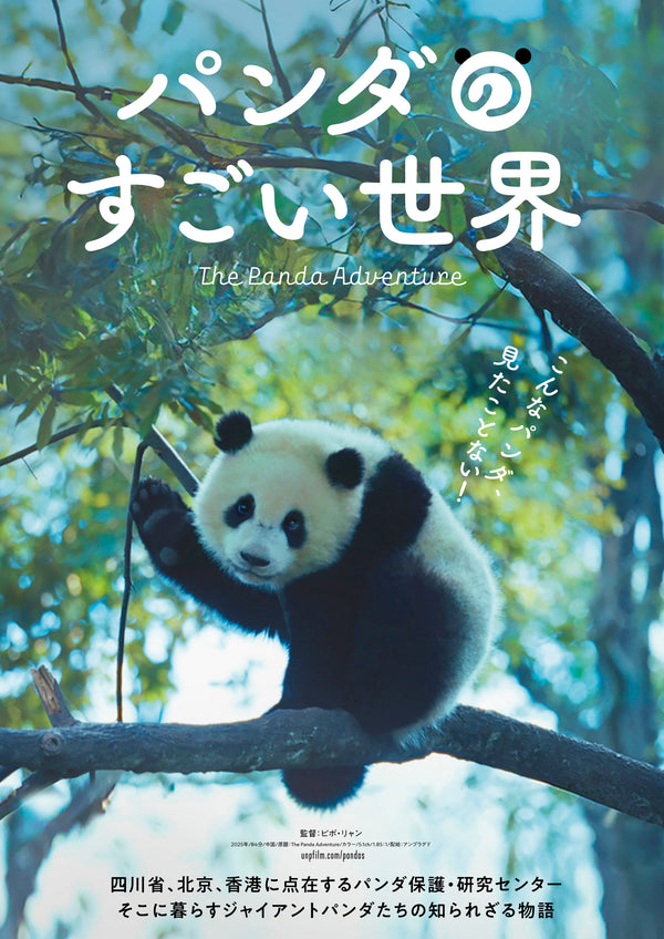 パンダのすごい世界のサムネイル