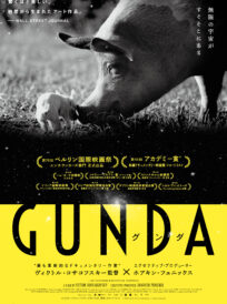 GUNDA グンダ イメージ